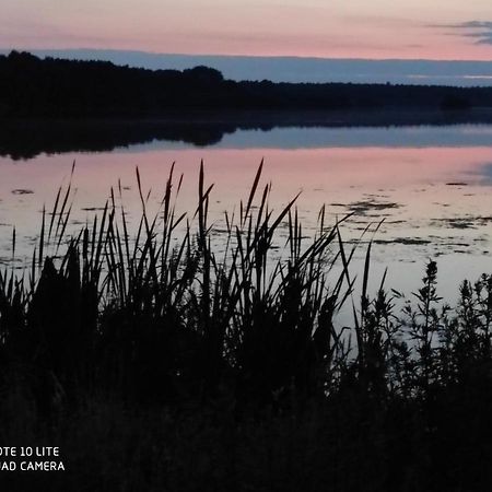 Вілла De Huemmelske Bur Фрізойте Екстер'єр фото
